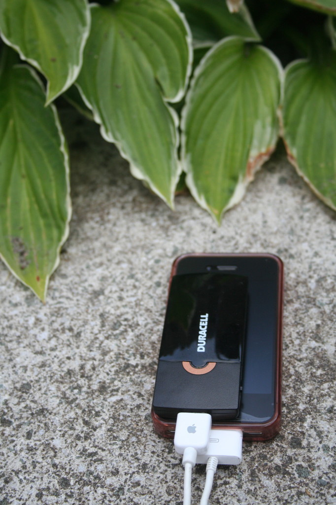 duracellsmall_that_wanderlust