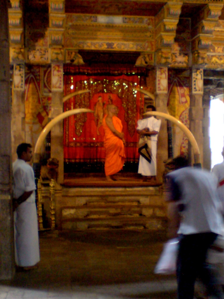 tooth_kandi_that_wanderlust