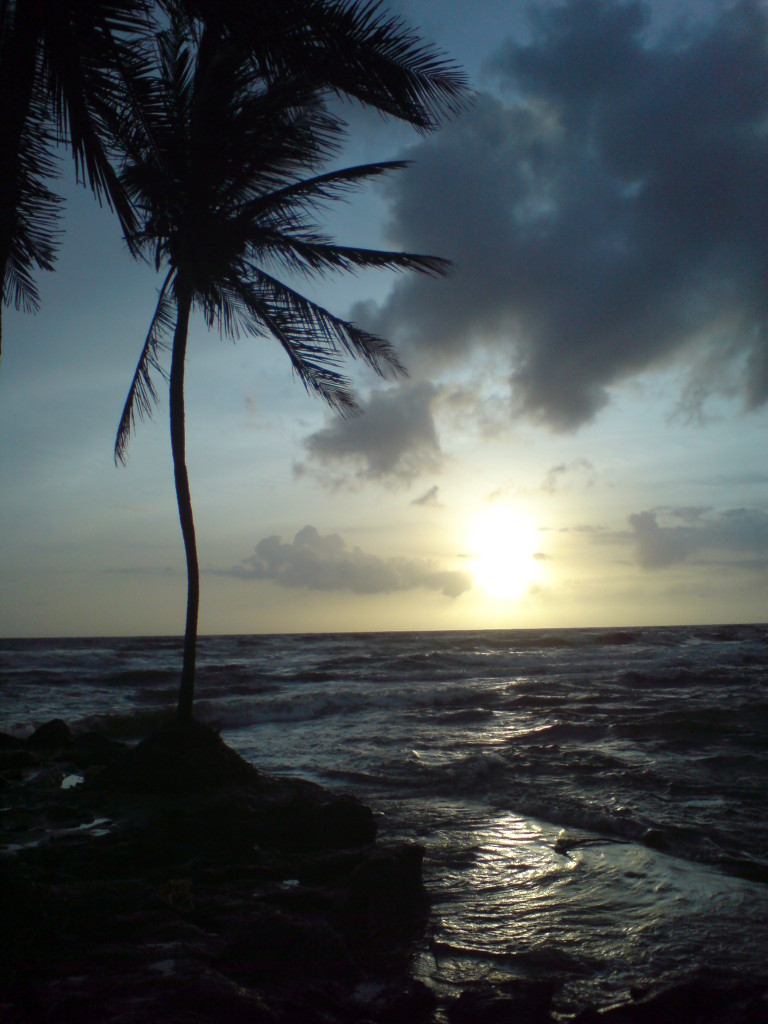 Tsunami_that_wanderlust