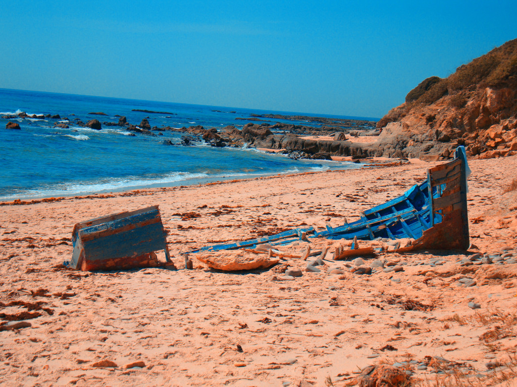 blue_capture_the_colour_2013