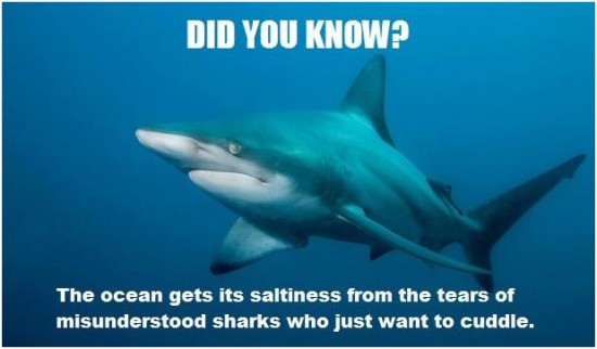 sharksalt_that_wanderlust