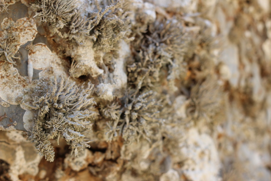 Saria_karpathos_travelblog_greece