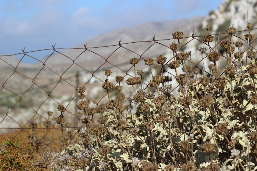 Vrougounda_karpathos_greece