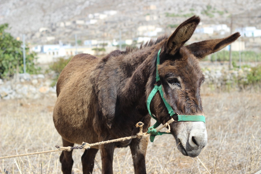 Vrougounda_karpathos_greece