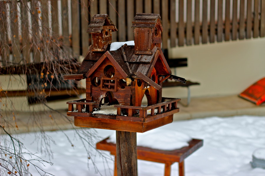 birdhouse in canazei