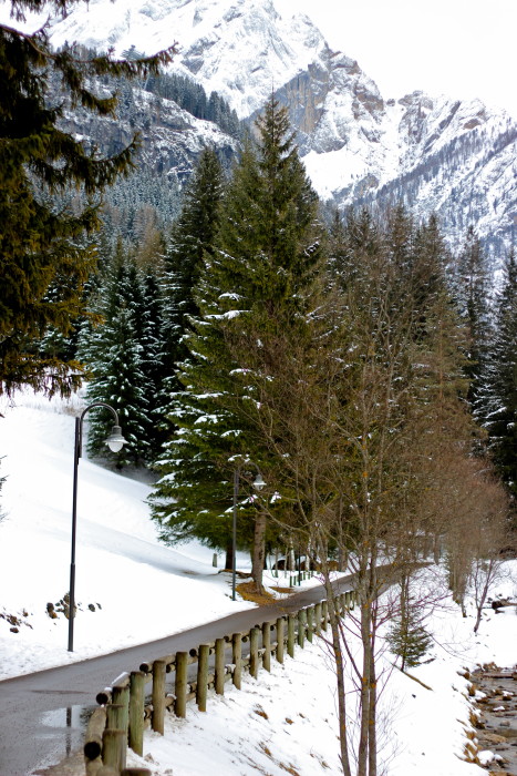 mountains in green and white in canazei