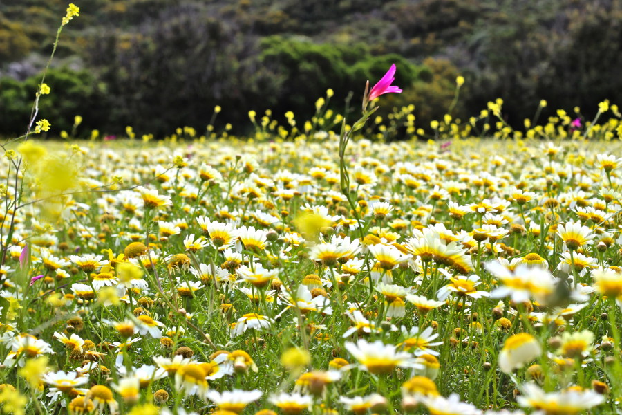 karpathos-valley visit Karpathos