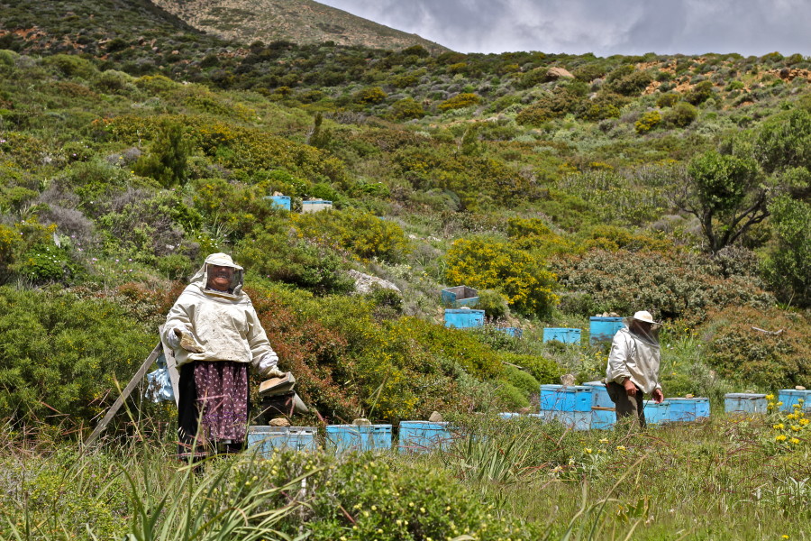 beekeepers-karpathos-traditional-travel-greece visit Karpathos