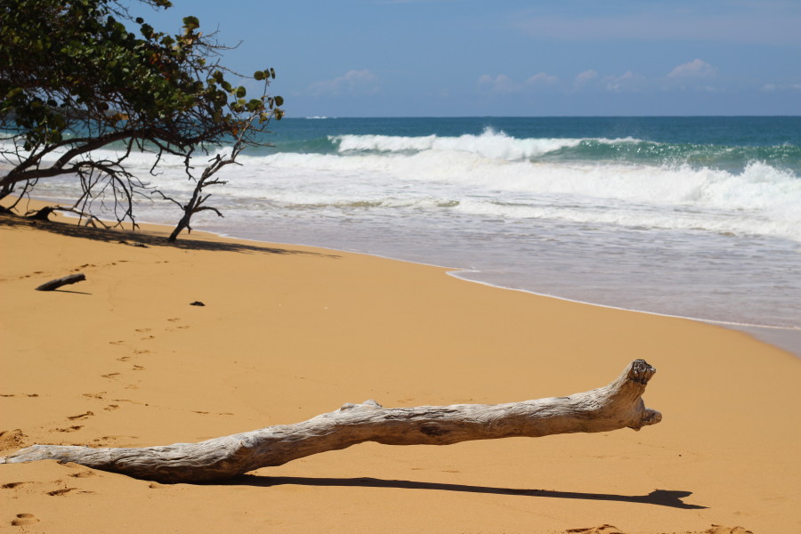 bocasdeltoro-panama-bluf