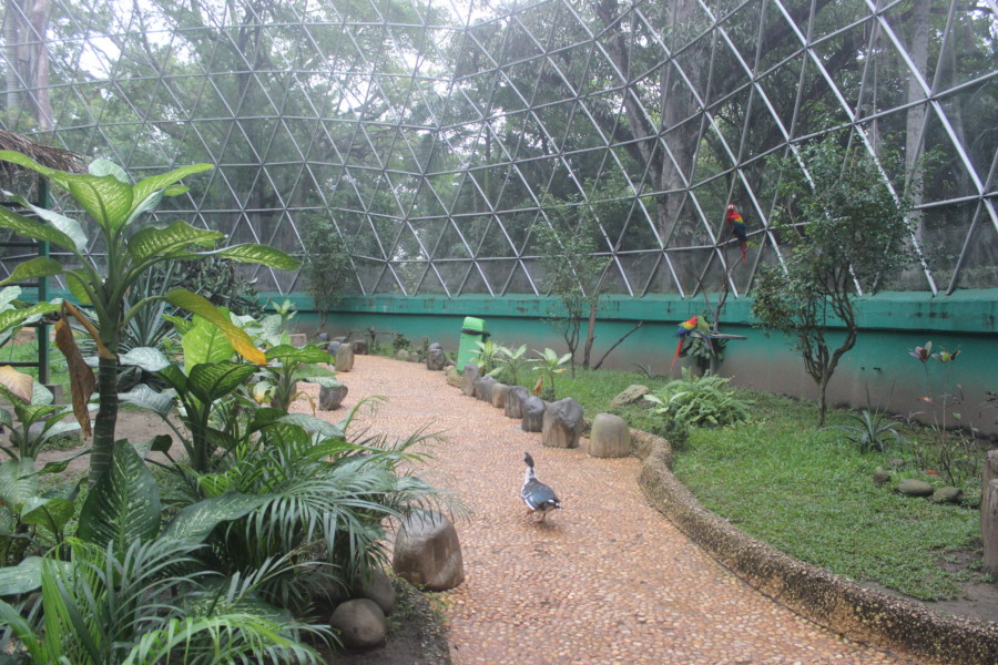 Olmec-The aviary in the zoo part of Museo La Venta