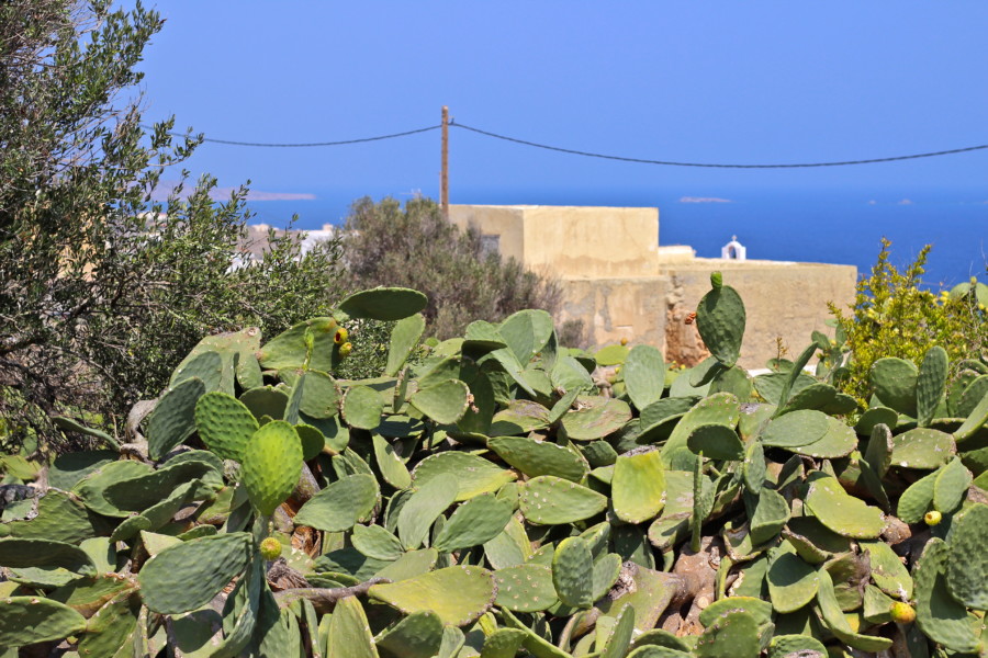 visitkasos-karpathos-armathia-greece-travel-wanderlust-thatwanderlust-visit kasos