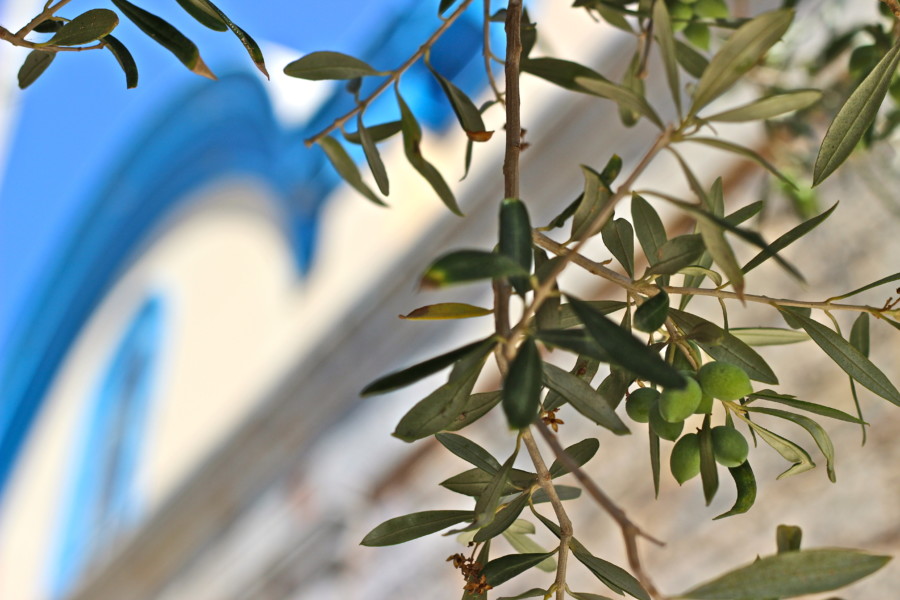 visitkasos-karpathos-armathia-greece-travel-wanderlust-thatwanderlust-visit kasos