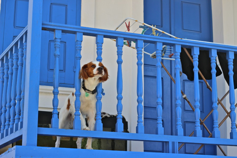 visitkasos-karpathos-armathia-greece-travel-wanderlust-thatwanderlust-visit kasos