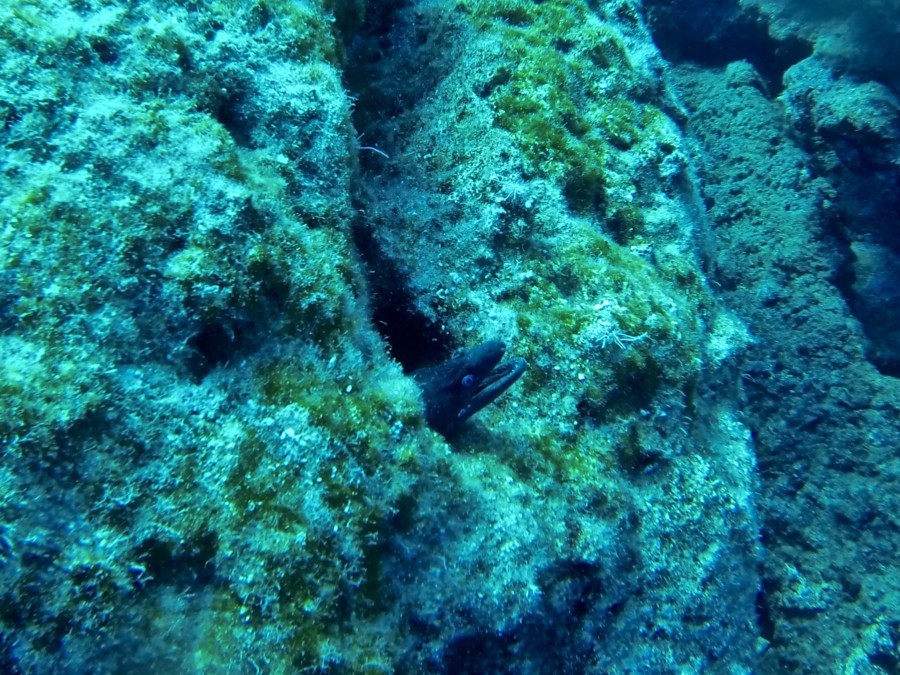 rescue-diver-diving-gopro-karpathos-renate-rigters-travel-thatwanderlust