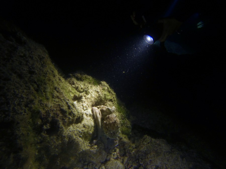 rescue-diver-diving-gopro-karpathos-renate-rigters-travel-thatwanderlust