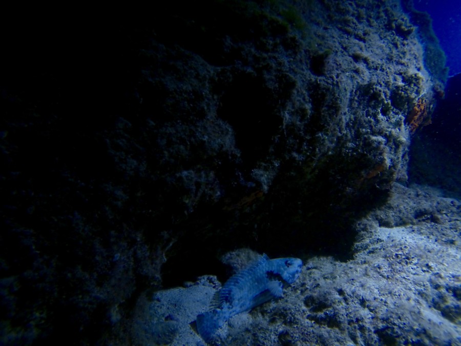 rescue-diver-diving-gopro-karpathos-renate-rigters-travel-thatwanderlust