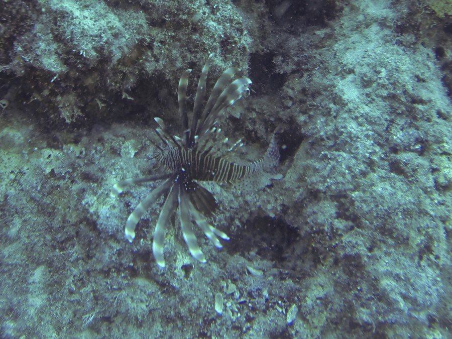 rescue-diver-diving-gopro-karpathos-renate-rigters-travel-thatwanderlust