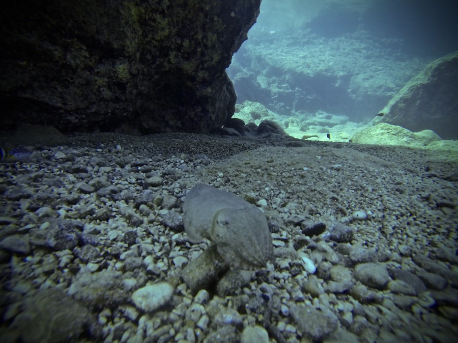 rescue-diver-diving-gopro-karpathos-renate-rigters-travel-thatwanderlust