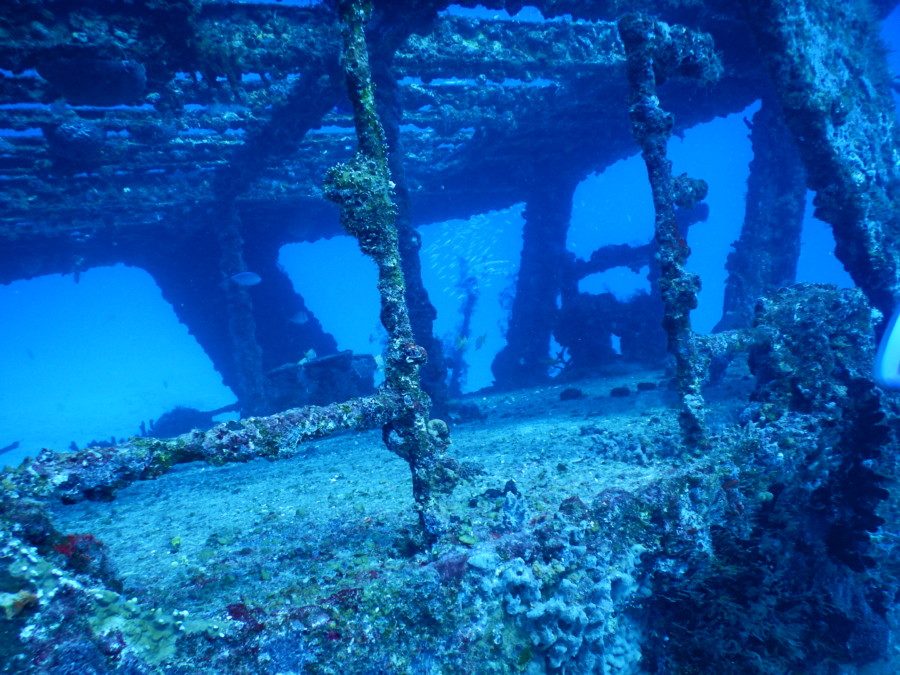 divemaster-islamujeres-isla mujeres-travel-mexico-love-backpack-blog-wanderlust