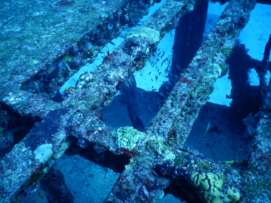 divemaster-islamujeres-isla mujeres-travel-mexico-love-backpack-blog-wanderlust