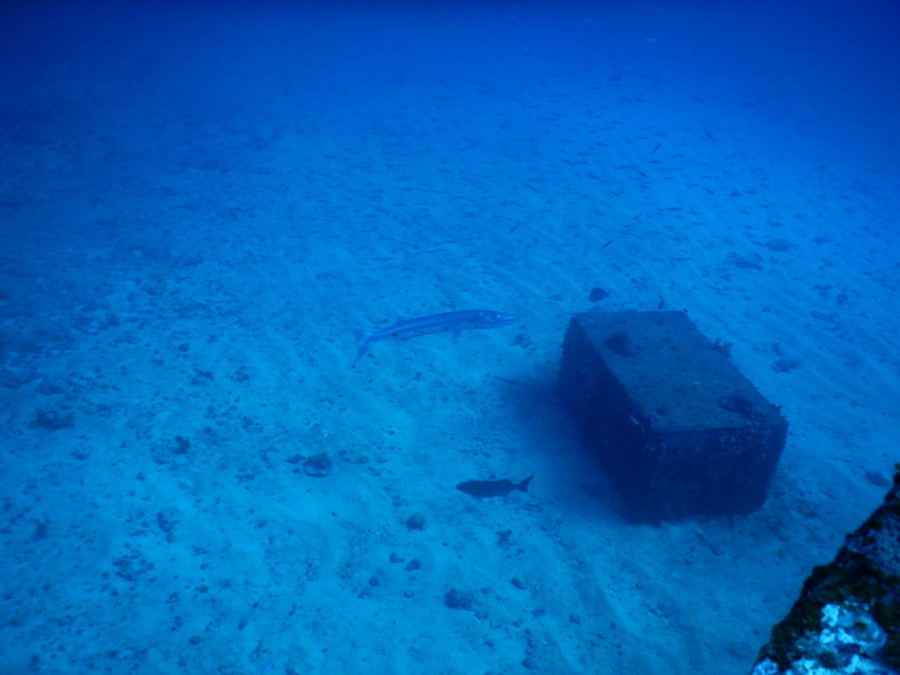 divemaster-islamujeres-isla mujeres-travel-mexico-love-backpack-blog-wanderlust