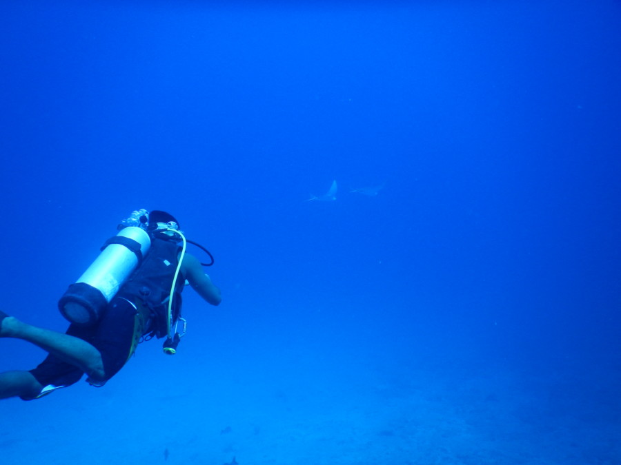 divemaster-islamujeres-isla mujeres-travel-mexico-love-backpack-blog-wanderlust