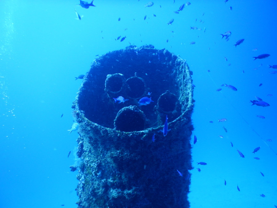 divemaster-islamujeres-isla mujeres-travel-mexico-love-backpack-blog-wanderlust