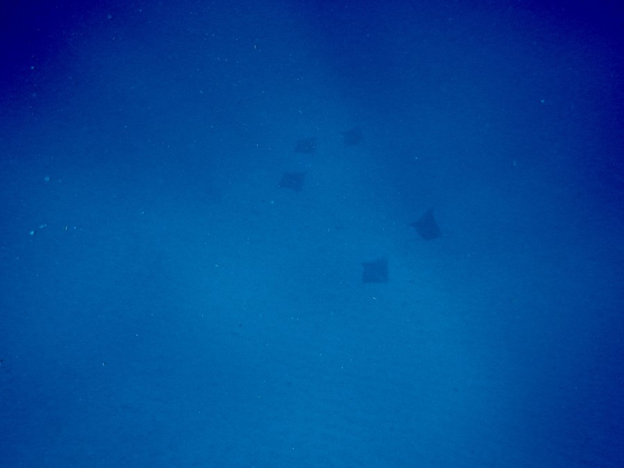 islamujeres-isla mujeres-travel-mexico-love-backpack-blog-wanderlust