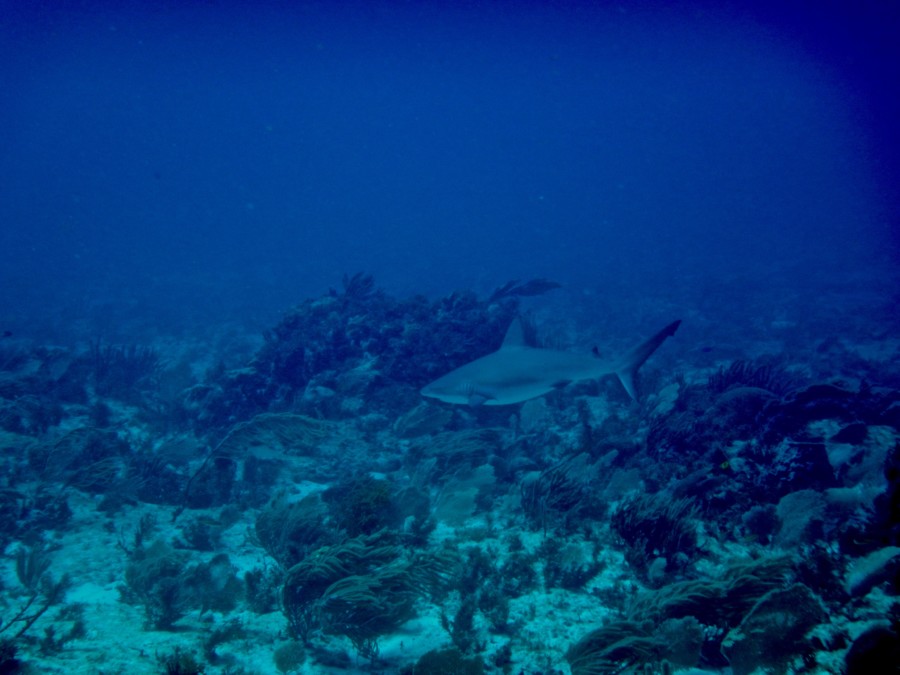 islamujeres-isla mujeres-travel-mexico-love-backpack-blog-wanderlust