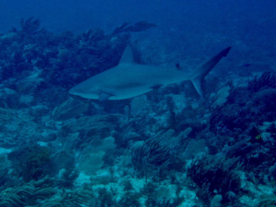 islamujeres-isla mujeres-travel-mexico-love-backpack-blog-wanderlust