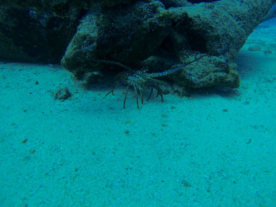 islamujeres-isla mujeres-travel-mexico-love-backpack-blog-wanderlust