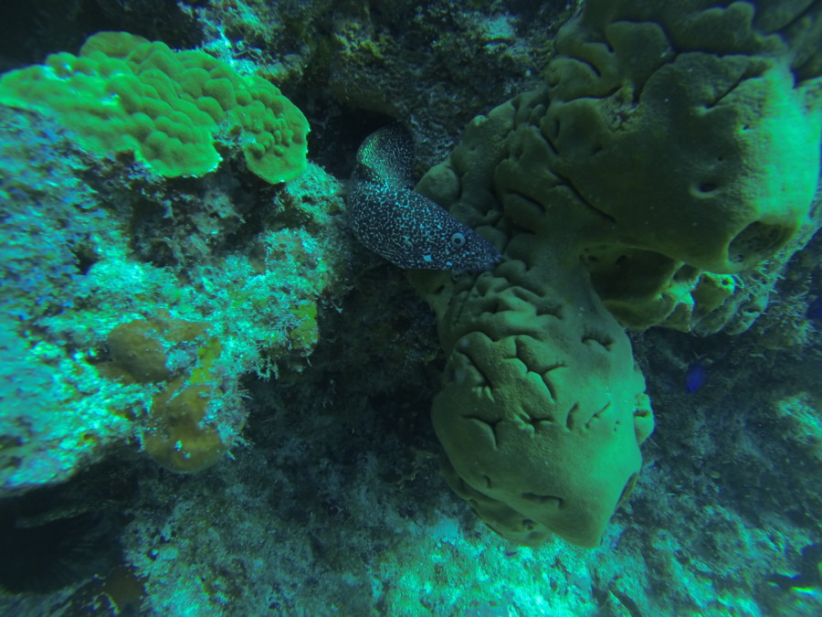 islamujeres-isla mujeres-travel-mexico-love-backpack-blog-wanderlust