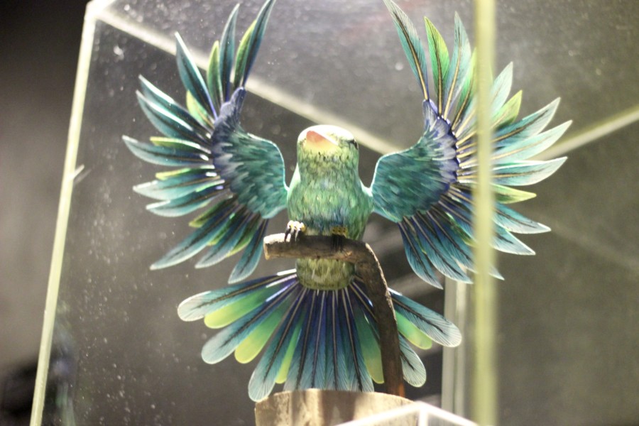 Discover Mexico DiscoverMexico-Cozumel-Tequila-Blogger-Mexico-ParkCozumel-Chocolate-Art-Alebrijes-JoseCuervo-RenateRigters