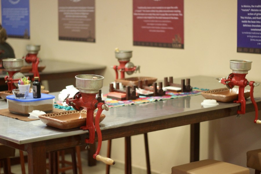 Discover Mexico DiscoverMexico-Cozumel-Tequila-Blogger-Mexico-ParkCozumel-Chocolate-Art-Alebrijes-JoseCuervo-RenateRigters