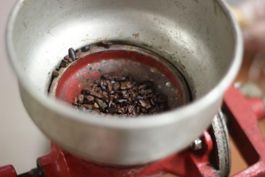 Discover Mexico DiscoverMexico-Cozumel-Tequila-Blogger-Mexico-ParkCozumel-Chocolate-Art-Alebrijes-JoseCuervo-RenateRigters