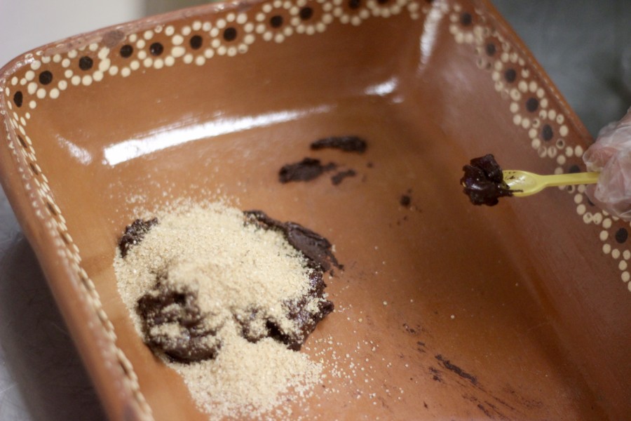 Discover Mexico DiscoverMexico-Cozumel-Tequila-Blogger-Mexico-ParkCozumel-Chocolate-Art-Alebrijes-JoseCuervo-RenateRigters