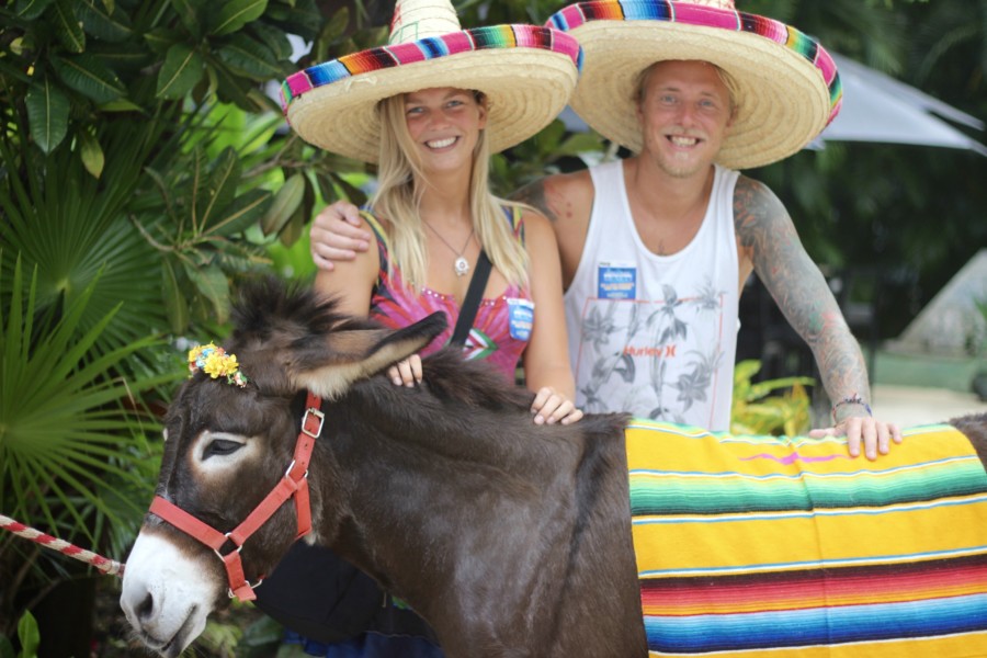 Discover Mexico DiscoverMexico-Cozumel-Tequila-Blogger-Mexico-ParkCozumel-Chocolate-Art-Alebrijes-JoseCuervo-RenateRigters