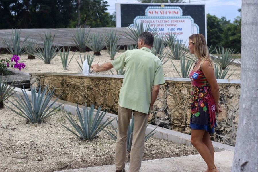 Discover Mexico DiscoverMexico-Cozumel-Tequila-Blogger-Mexico-ParkCozumel-Chocolate-Art-Alebrijes-JoseCuervo-RenateRigters