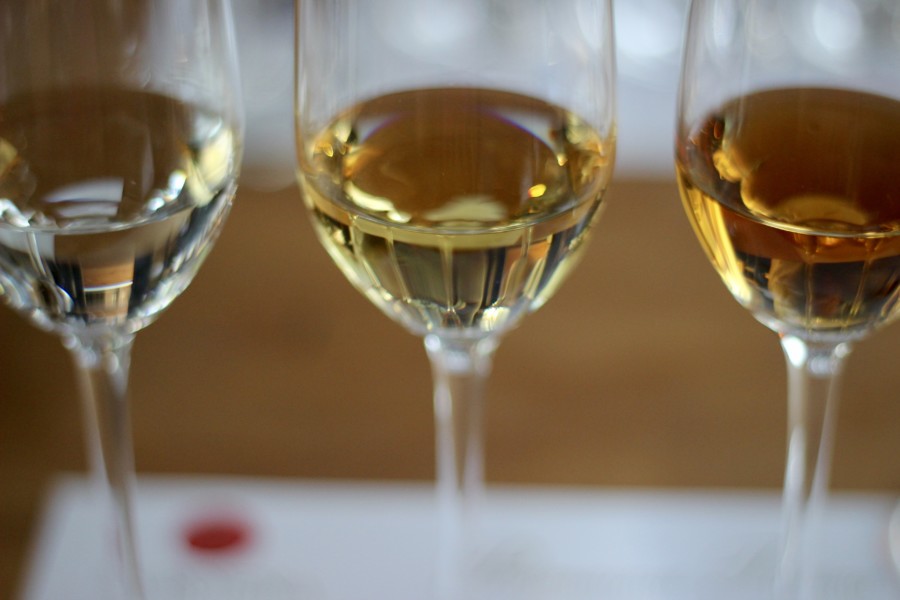 Discover Mexico DiscoverMexico-Cozumel-Tequila-Blogger-Mexico-ParkCozumel-Chocolate-Art-Alebrijes-JoseCuervo-RenateRigters