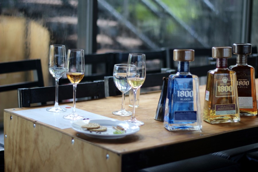 Discover Mexico DiscoverMexico-Cozumel-Tequila-Blogger-Mexico-ParkCozumel-Chocolate-Art-Alebrijes-JoseCuervo-RenateRigters