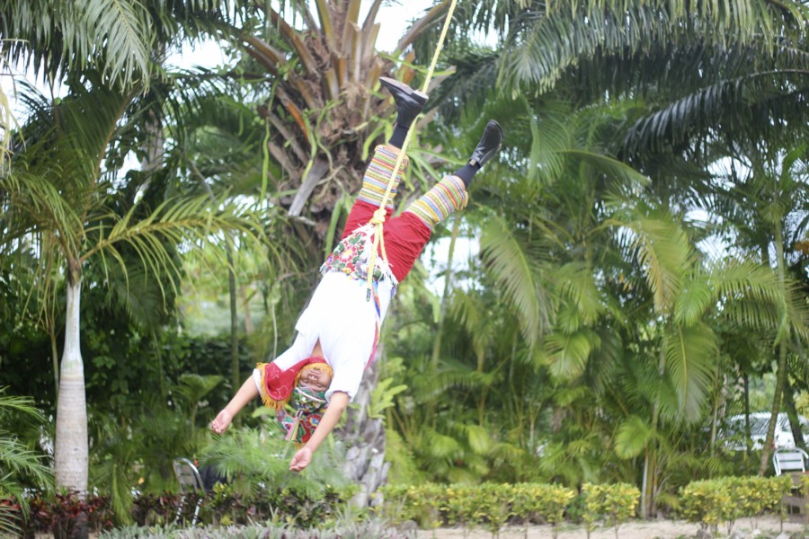 Discover Mexico DiscoverMexico-Cozumel-Tequila-Blogger-Mexico-ParkCozumel-Chocolate-Art-Alebrijes-JoseCuervo-RenateRigters