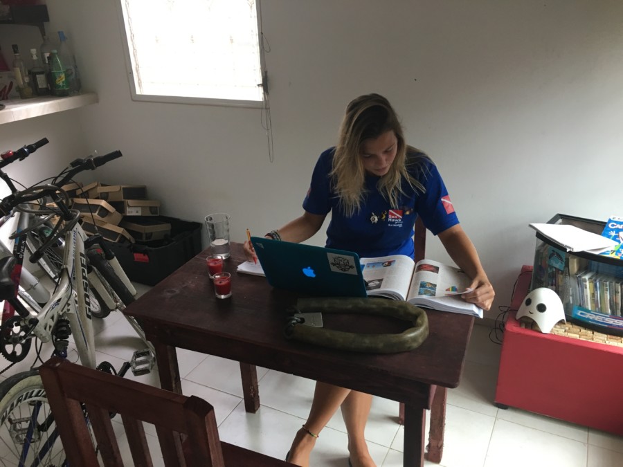 dreambig-dogs-idc-playadelcarmen-diving-padi