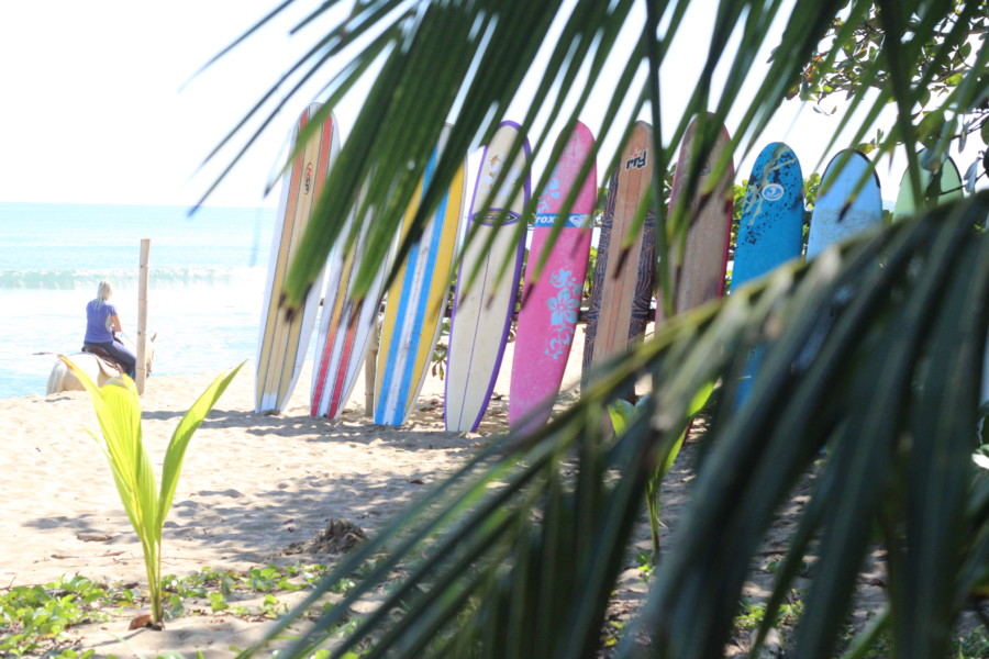 puravida-costa rica-puerto viejo-that wanderlust