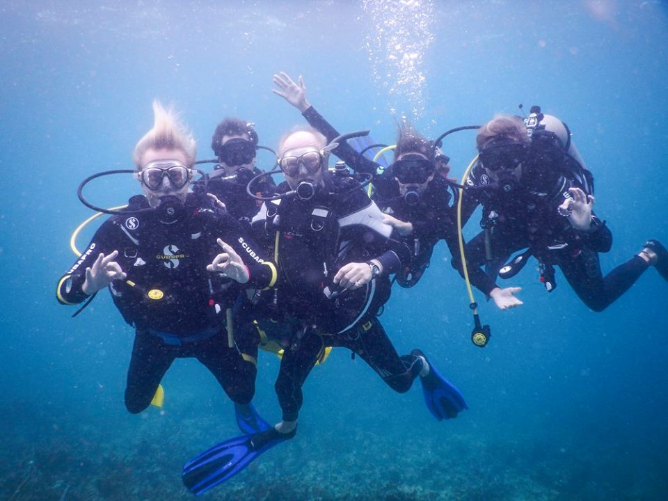 idc-bocas-panama-padi-diving