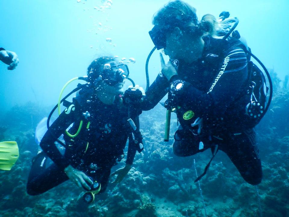 idc-bocas-panama-padi-diving