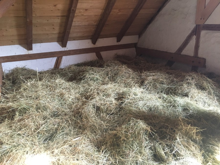 cycling-Heulager Heuhotel Theuerweckl_Bildquelle TG Odenwald-thatwanderlust