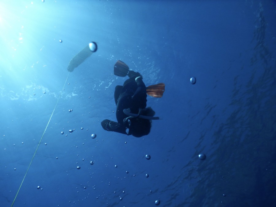 apnea-freedive-renate-karpathos-2017