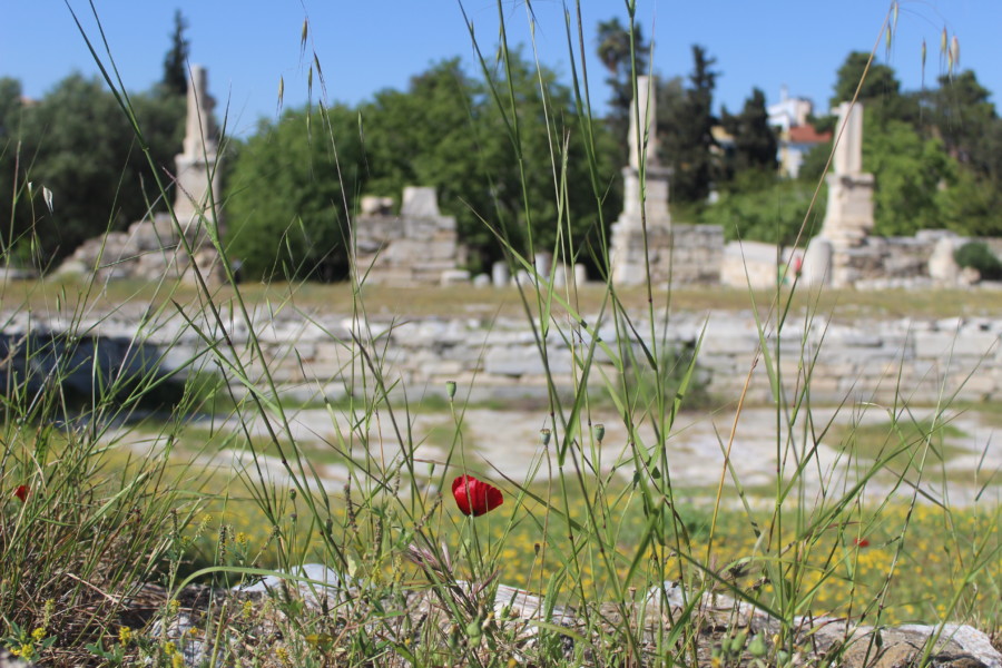 Ancient-Agora-athens-temple-that-wanderlust-travel-nomads-diving