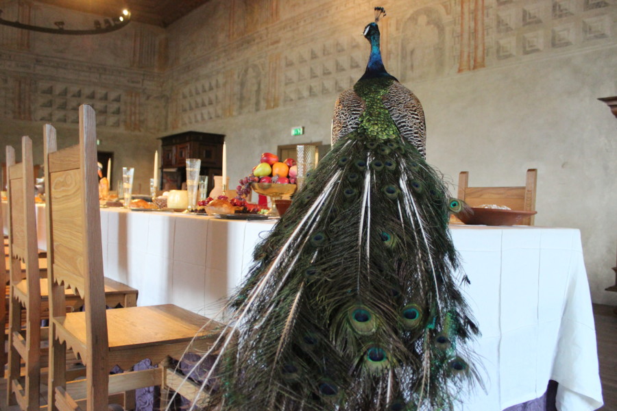 thatwanderlust-guided tour-Kalmar Castle-sweden