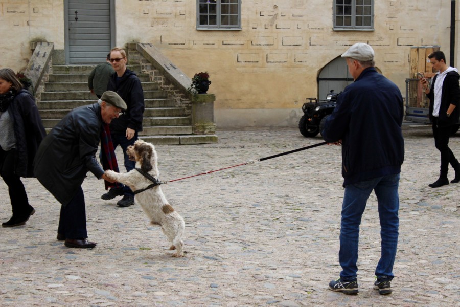 thatwanderlust-guided tour-Kalmar Castle-sweden